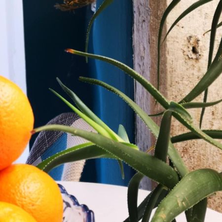 קרס Apartments Kremenic מראה חיצוני תמונה